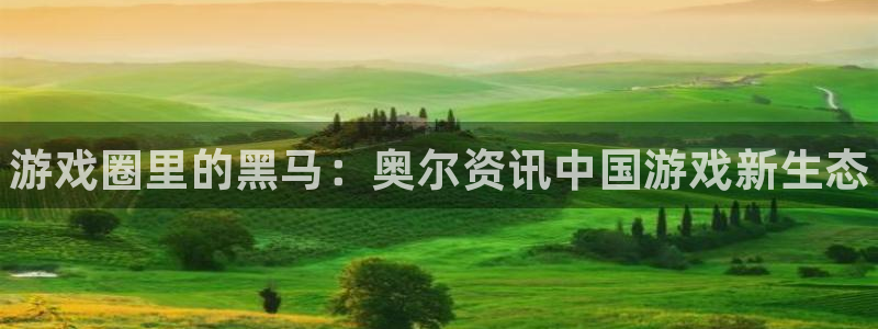 极悦娱乐平台注册资金多少：游戏圈里的黑马：奥尔资讯中国游戏新