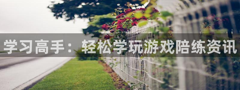 极悦娱乐注册开户：学习高手：轻松学玩游戏陪练资讯