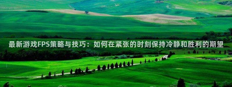 极悦娱乐登录网址：最新游戏FPS策略与技巧：如何在紧张的时刻