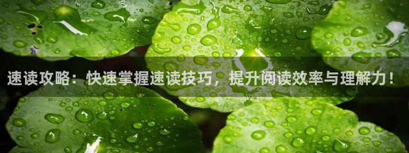 极悦娱乐Ii：速读攻略：快速掌握速读技巧，提升阅读效率与理解