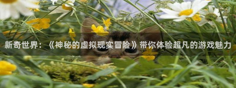 极悦娱乐2登录：新奇世界：《神秘的虚拟现实冒险》带你体验超凡