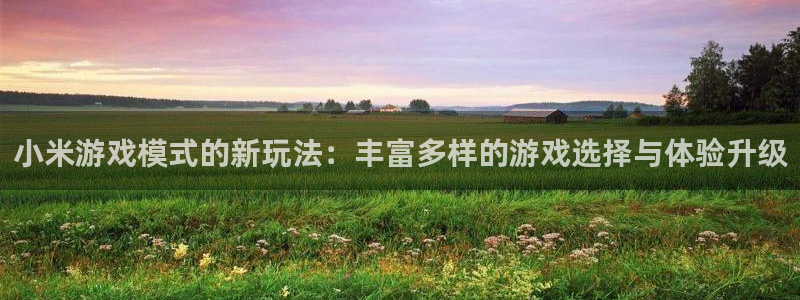 极悦娱乐2首页登录：小米游戏模式的新玩法：丰富多样的游戏选择