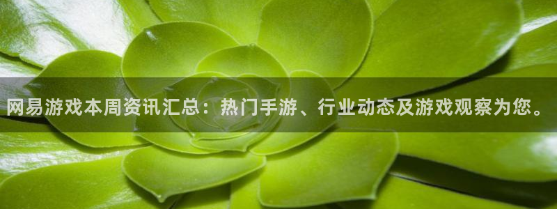 极悦娱乐的意思：网易游戏本周资讯汇总：热门手游、行业动态及游