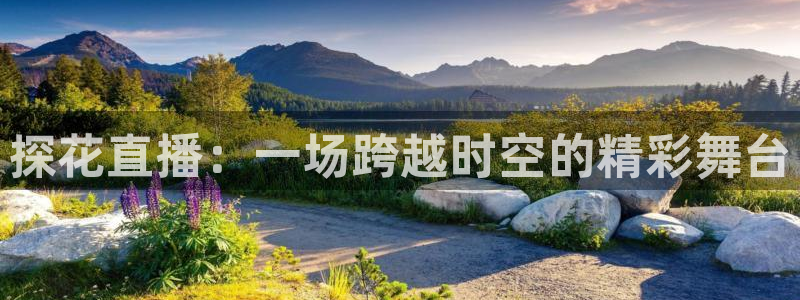 51视频在线直播nba