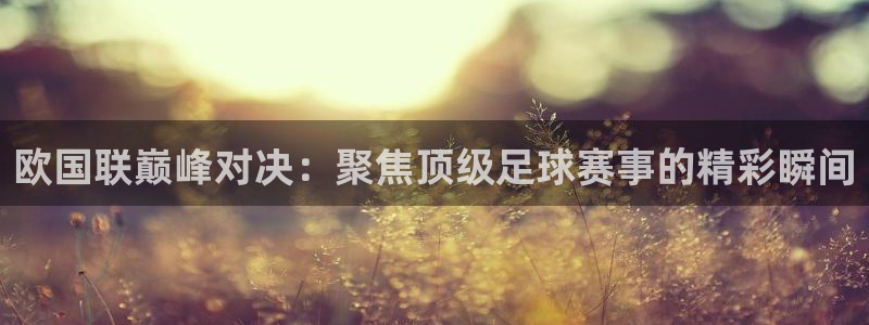 51视频在线直播nba