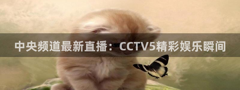 51视频在线直播nba：中央频道最新直播：CCTV5精彩娱乐瞬间